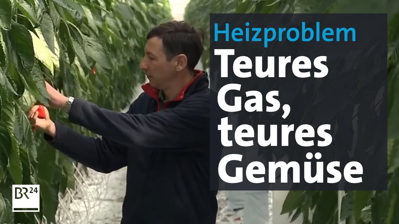 Gewächshäuser stehen vor Heizproblem: Gemüse wird teurer | BR24