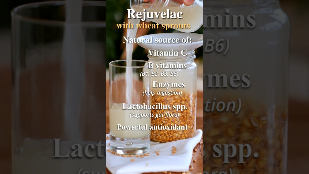 Rejuvelac Healthy Probiotic Drink #helthydrink #probiotics #asmr #vegan