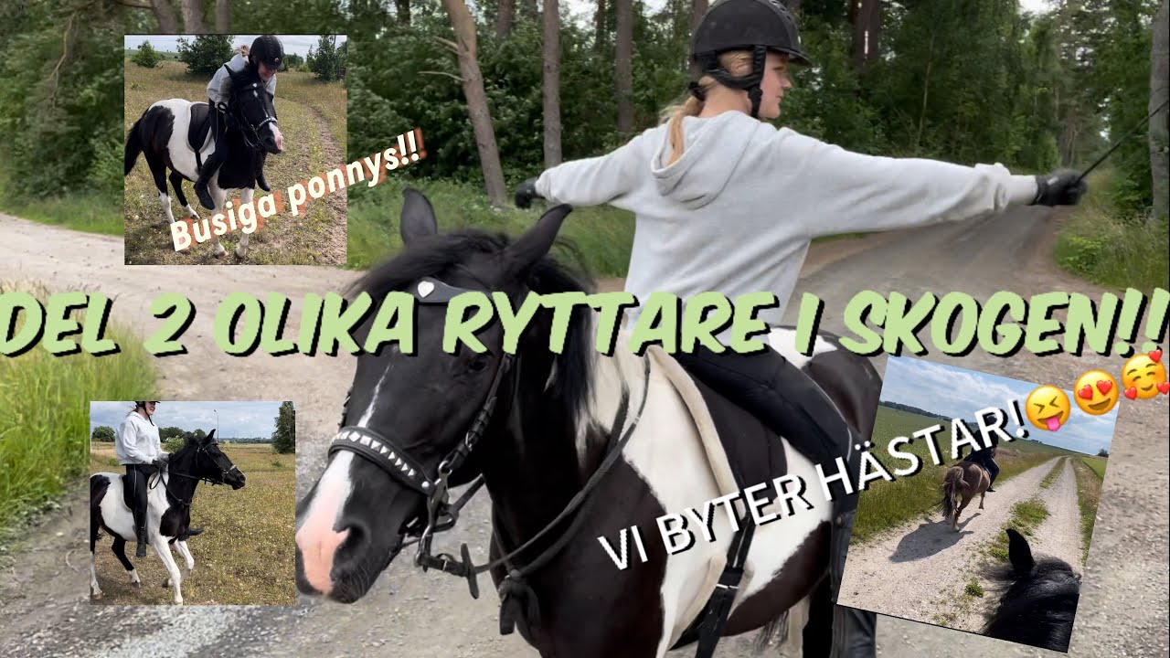 OLIKA RYTTARE I SKOGEN DEL 2- byter h&auml;star❤️🙌🙌