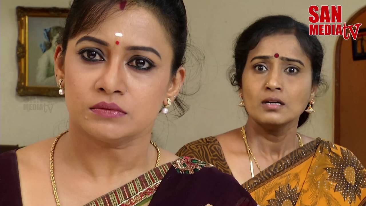 BOMMALAATAM - பொம்மலாட்டம் - Episode 1102 (20/08/2016)