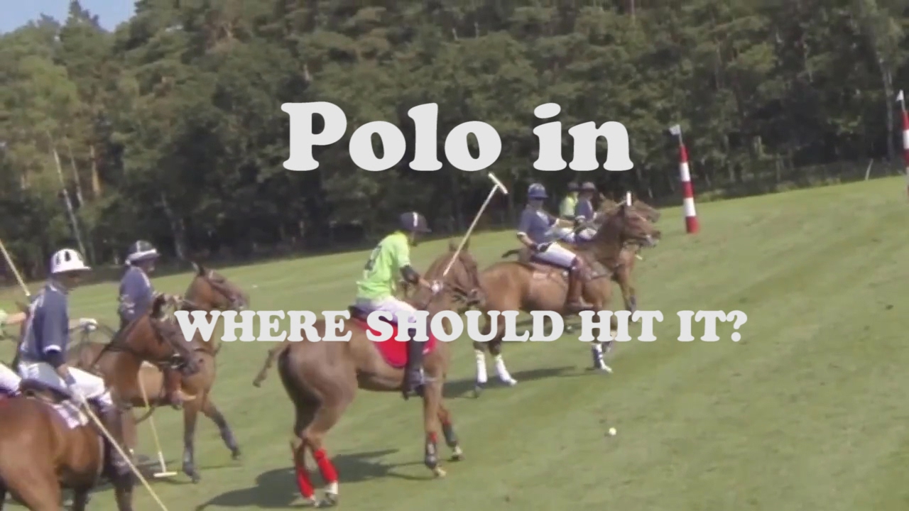Professional Polo 09 Where should hit the Ball