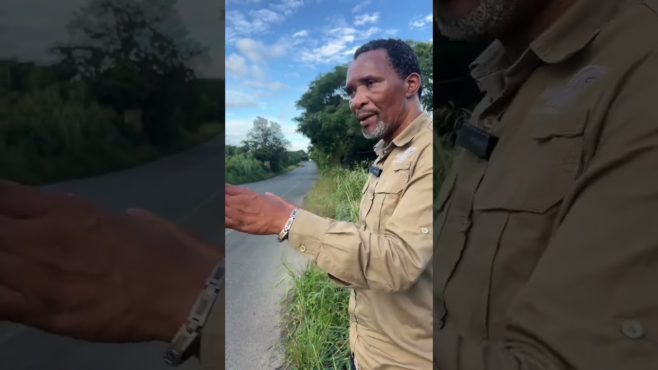 R102 Nonoti Bridge | Infrastructure Assessment 