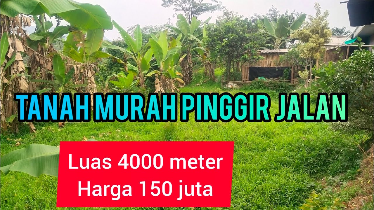 Dijual tanah kebun murah akses mobil Dekat rumah warga