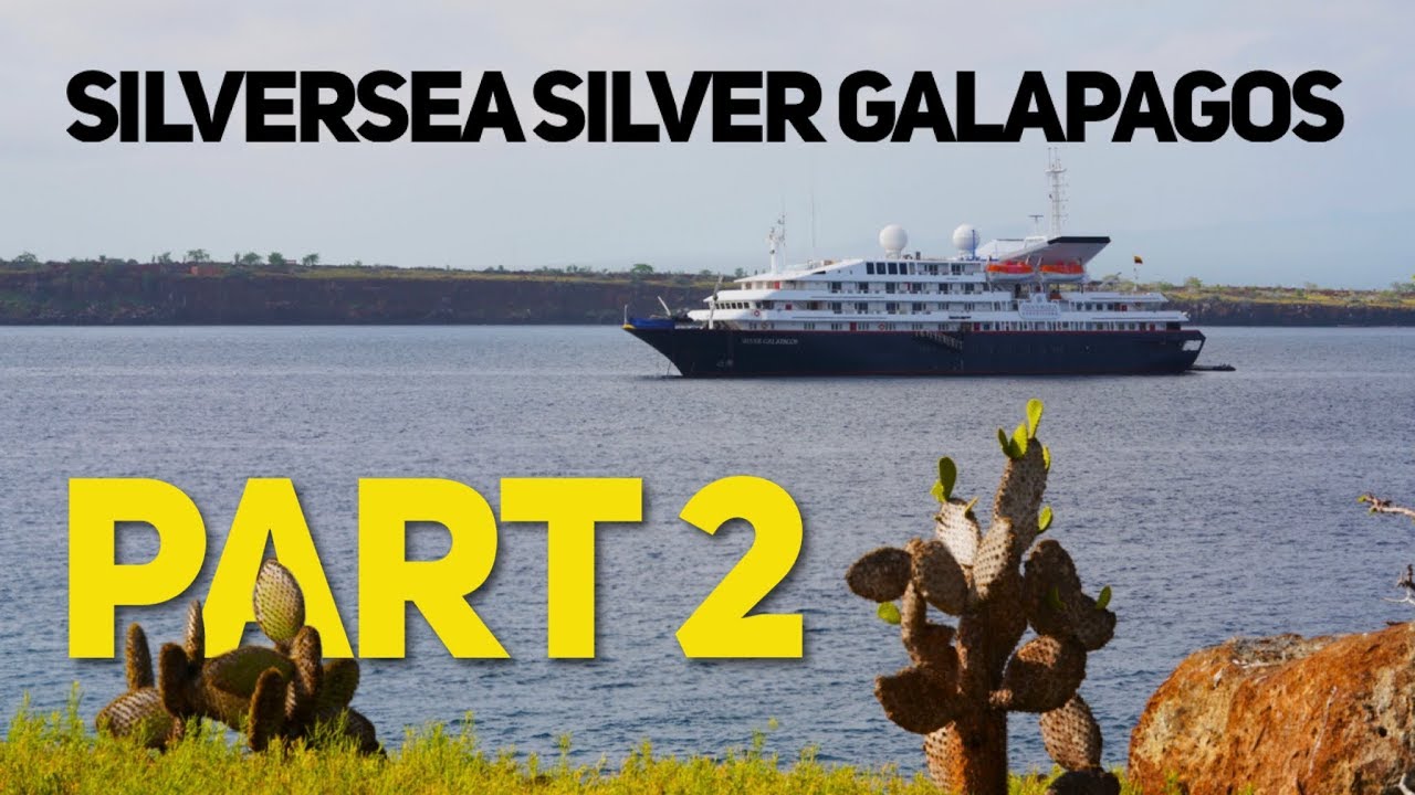 Видеоблог круиза Silversea Silver Galapagos Expedition Cruise, часть 2 — туры на кораблях, песчан...