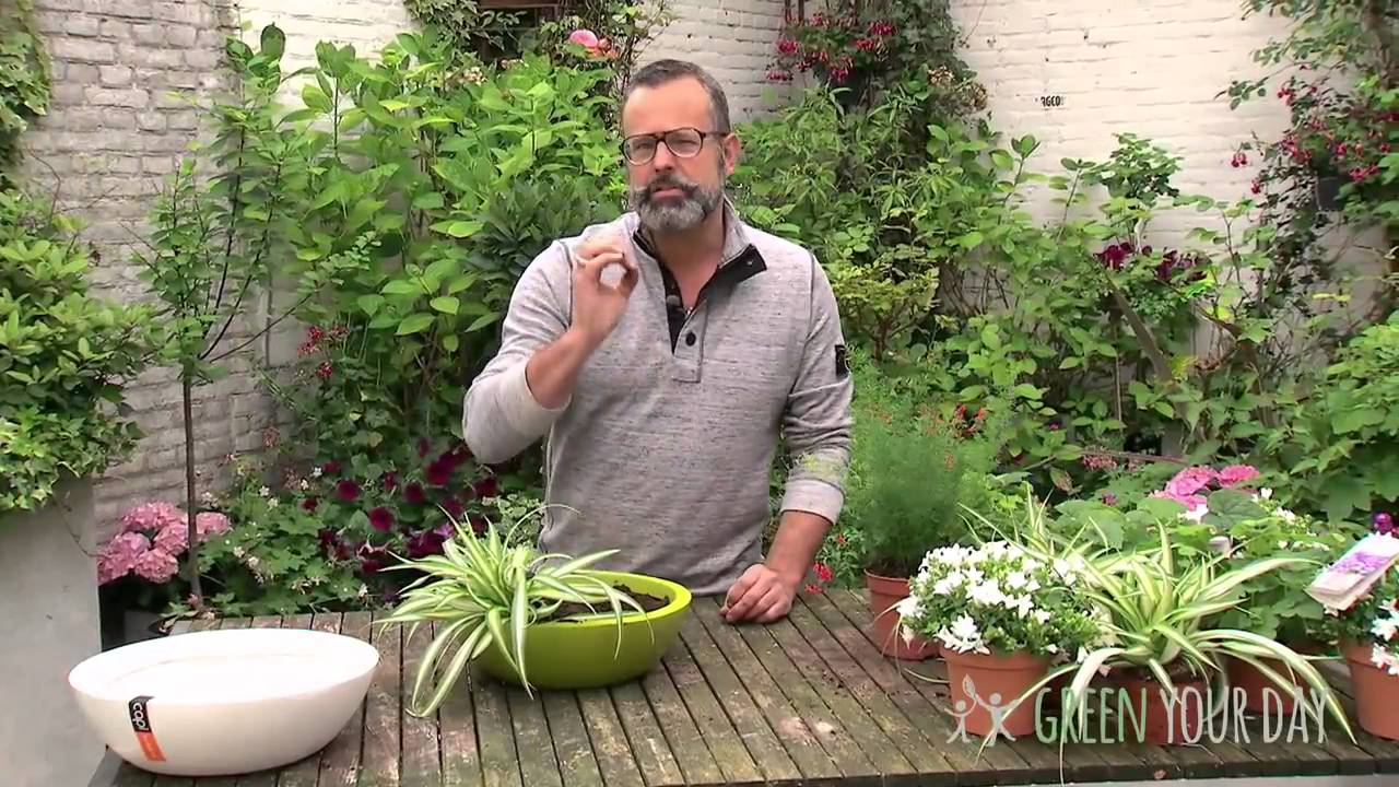 Hoe maak je een bloemstuk voor binnen &eacute;n buiten?