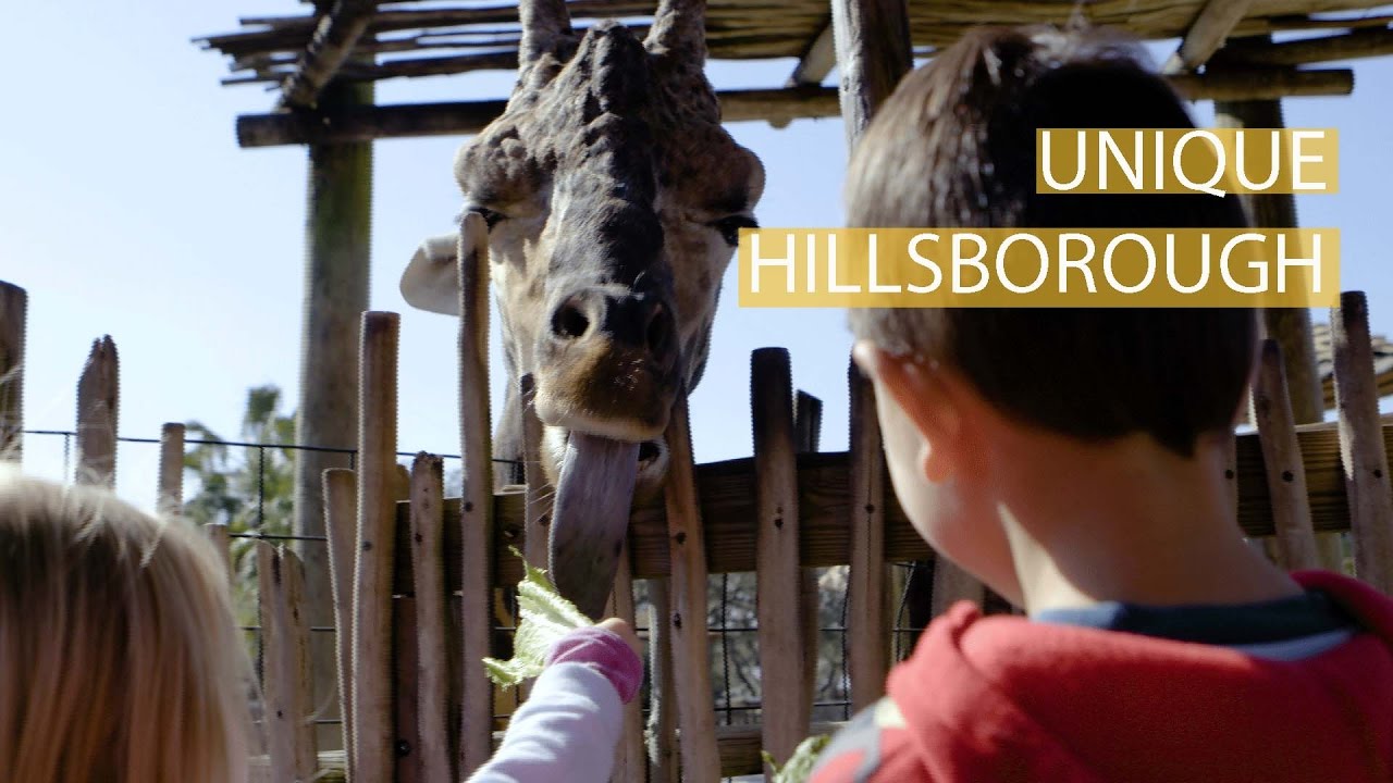 Unique Hillsborough -Things to do in Tampa Bay!