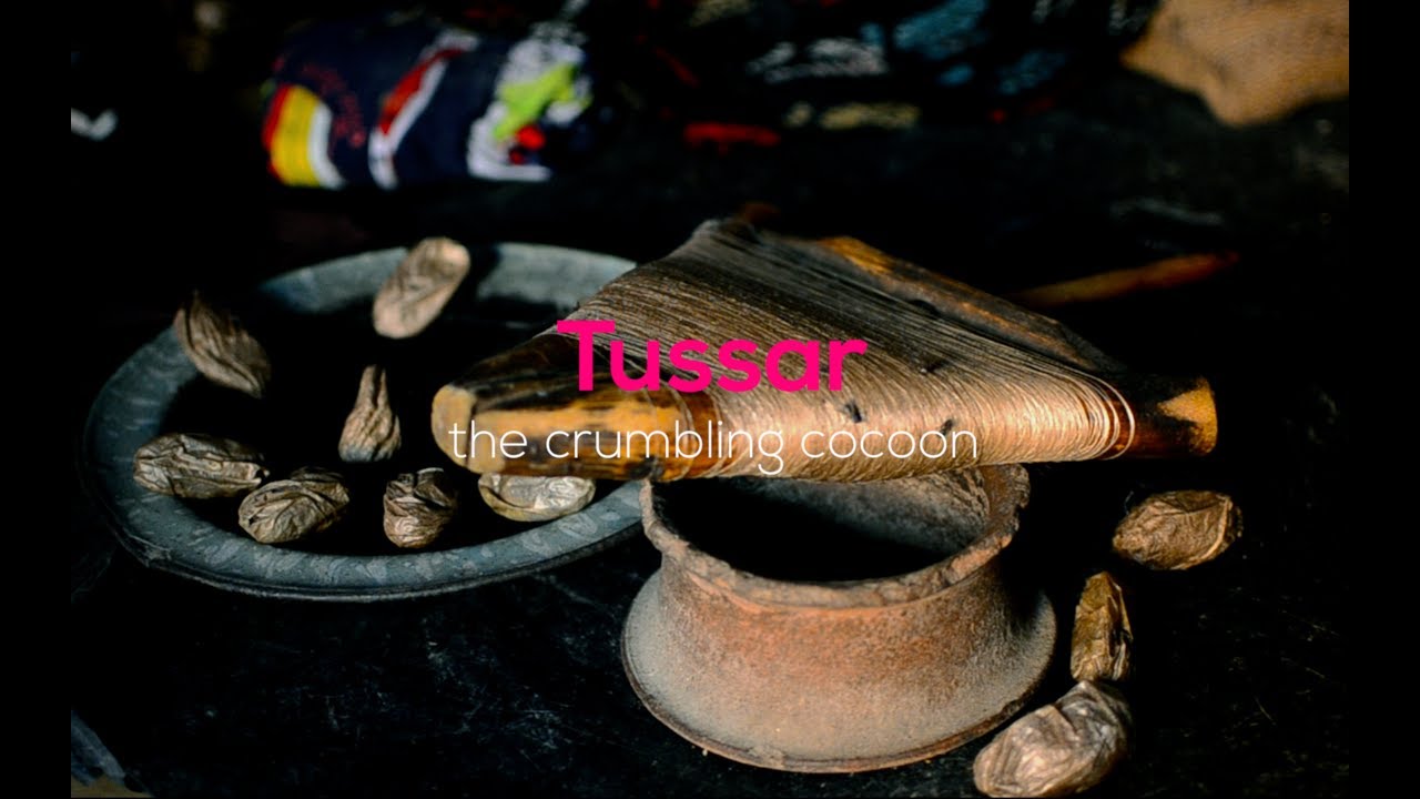 Tussar: the crumbling cocoon | Weavers of Banka, Bihar