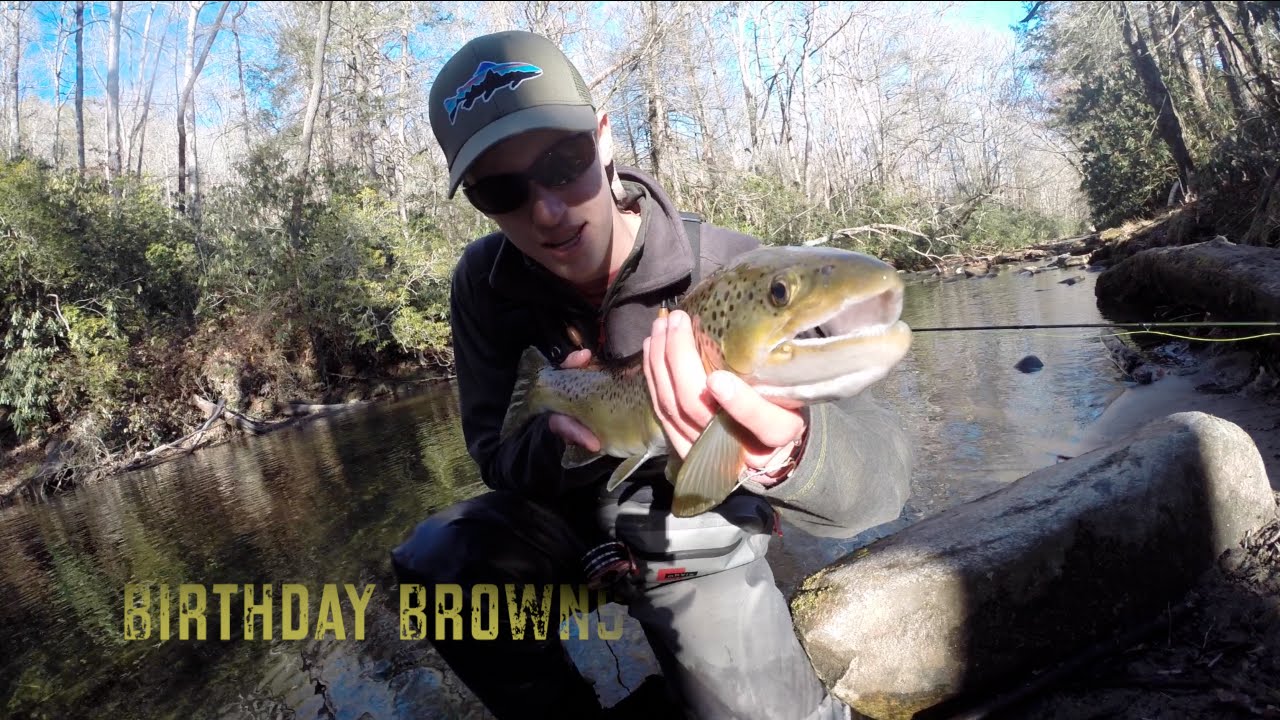 Birthday Browns - Monster brown trout on the Davidson River