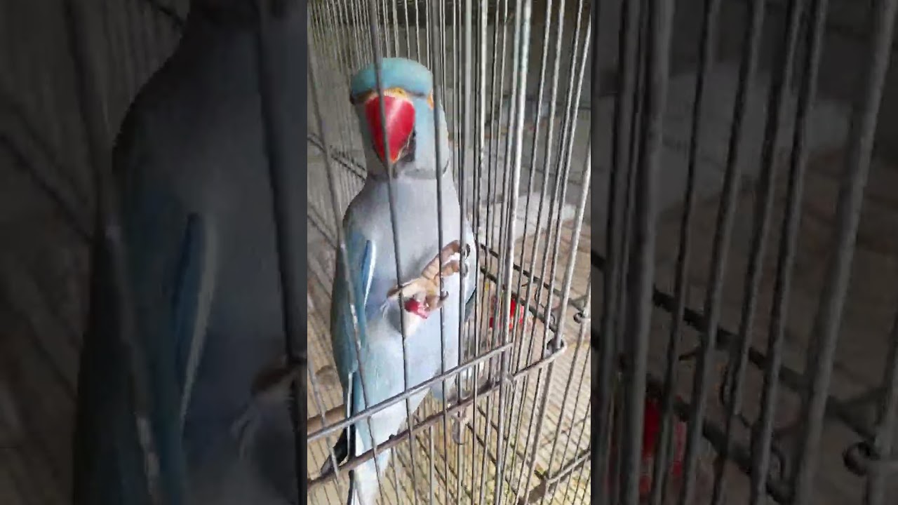 Meu dia à dia é assim!