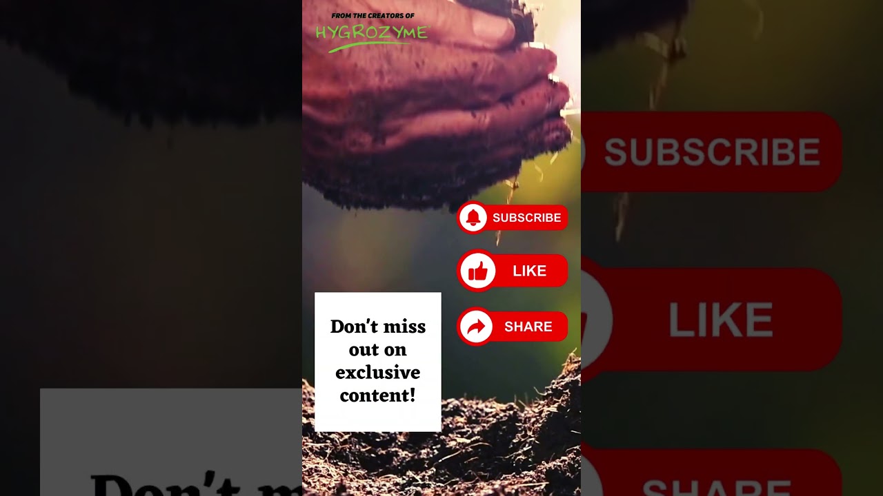 HYCLEAN - From The Creators of HYGROZYME