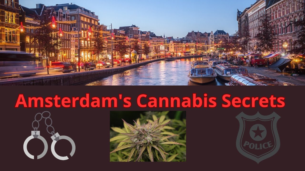 The Legal Landscape of Cannabis in Amsterdam: A Story of Coffeeshops and Regulation