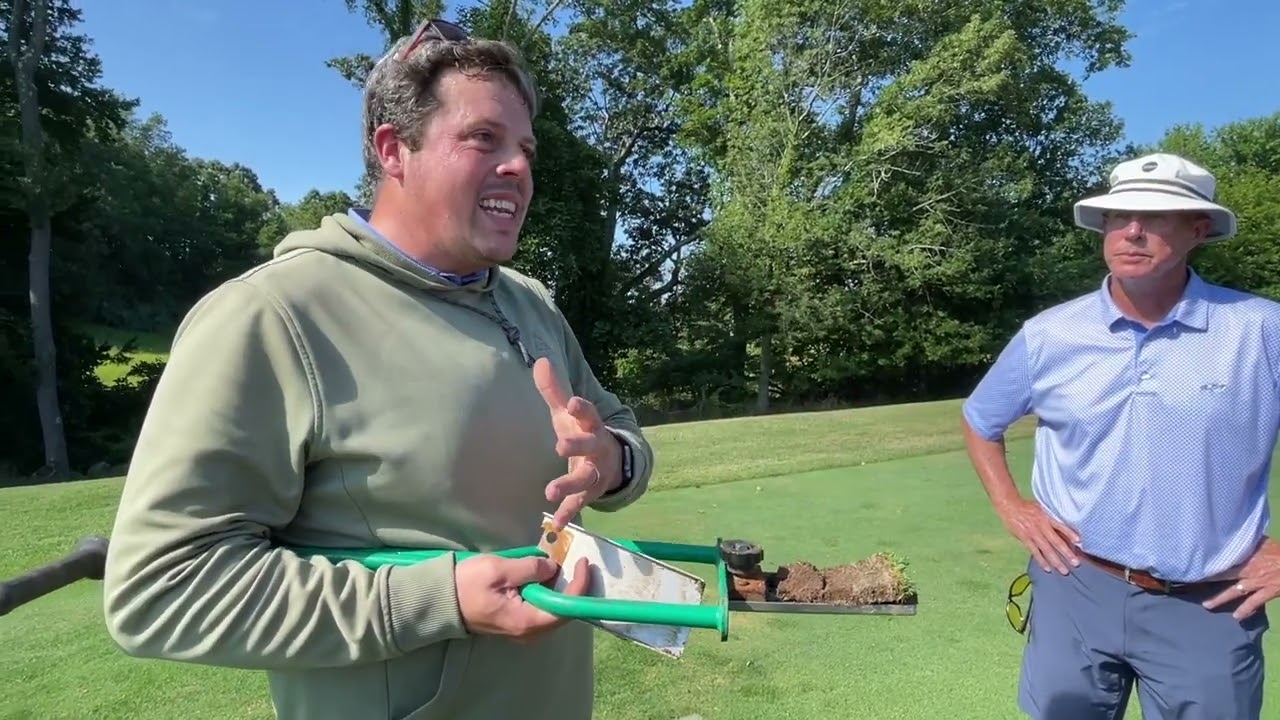 What is Thatch?