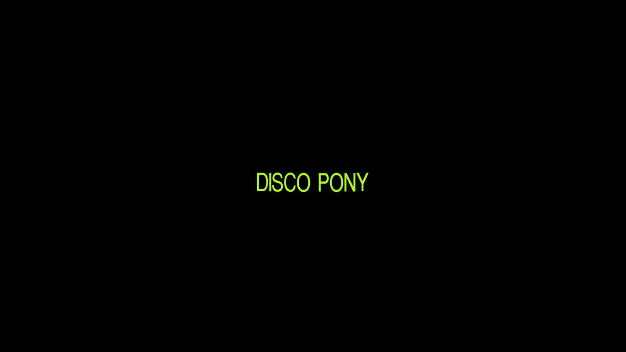 DISCO PONY (2025)