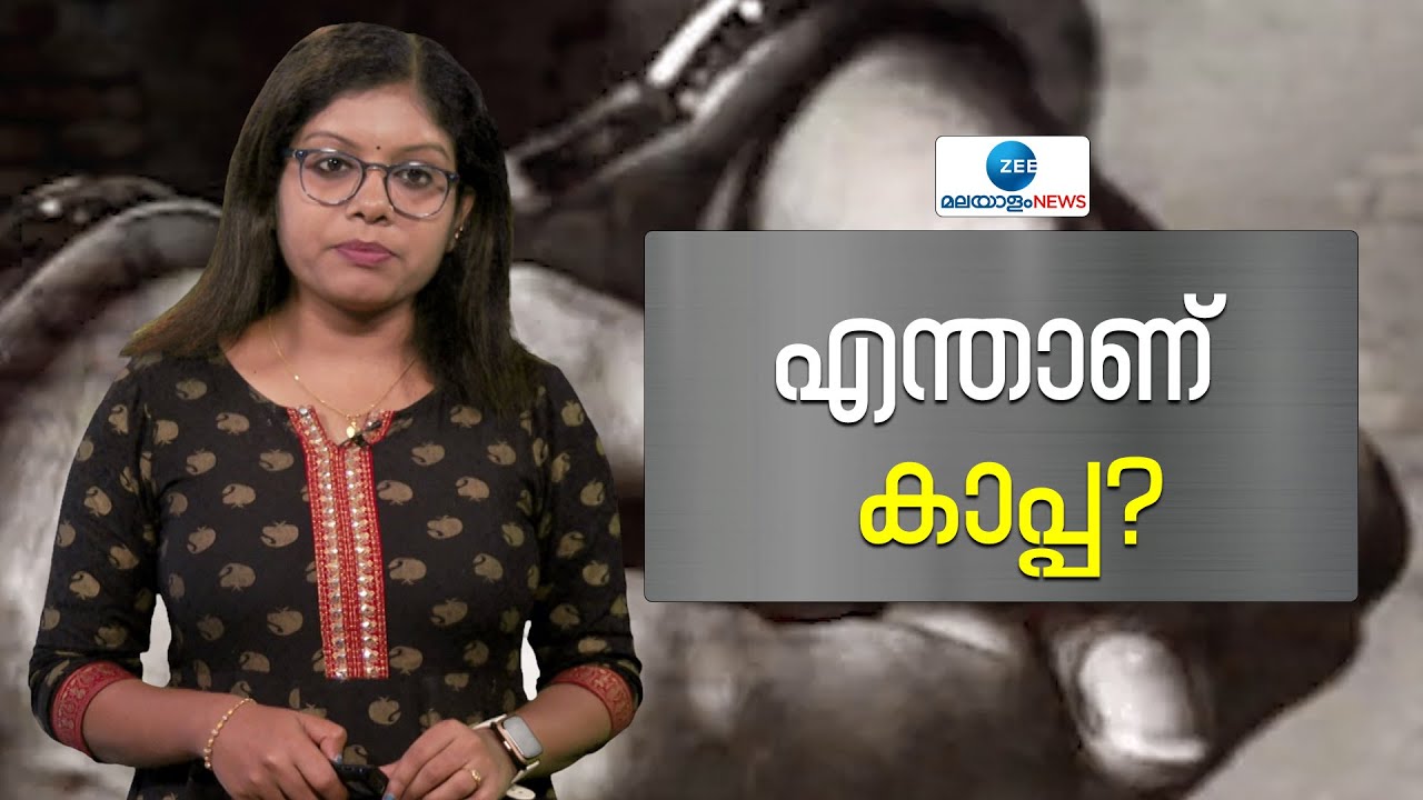 KAAPA Act 2007 | ആരൊക്കെ കാപ്പയുടെ പരിധിയിൽ ഉൾപ്പെടും? | Kerala Police | Zee Malayalam News