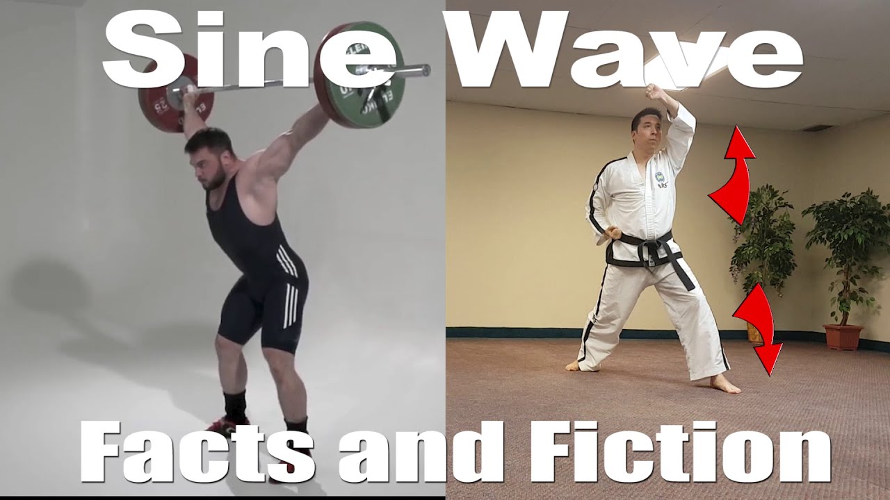 Taekwon-Do Sine Wave: Facts and Fiction