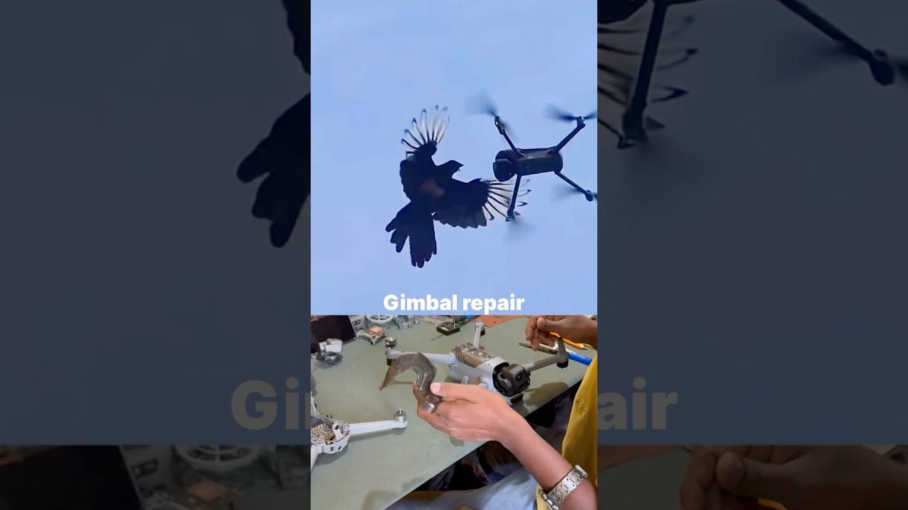 DJI Air3s BIRD ATTACK😭🦅#djiair3s #dji #drone #shorts