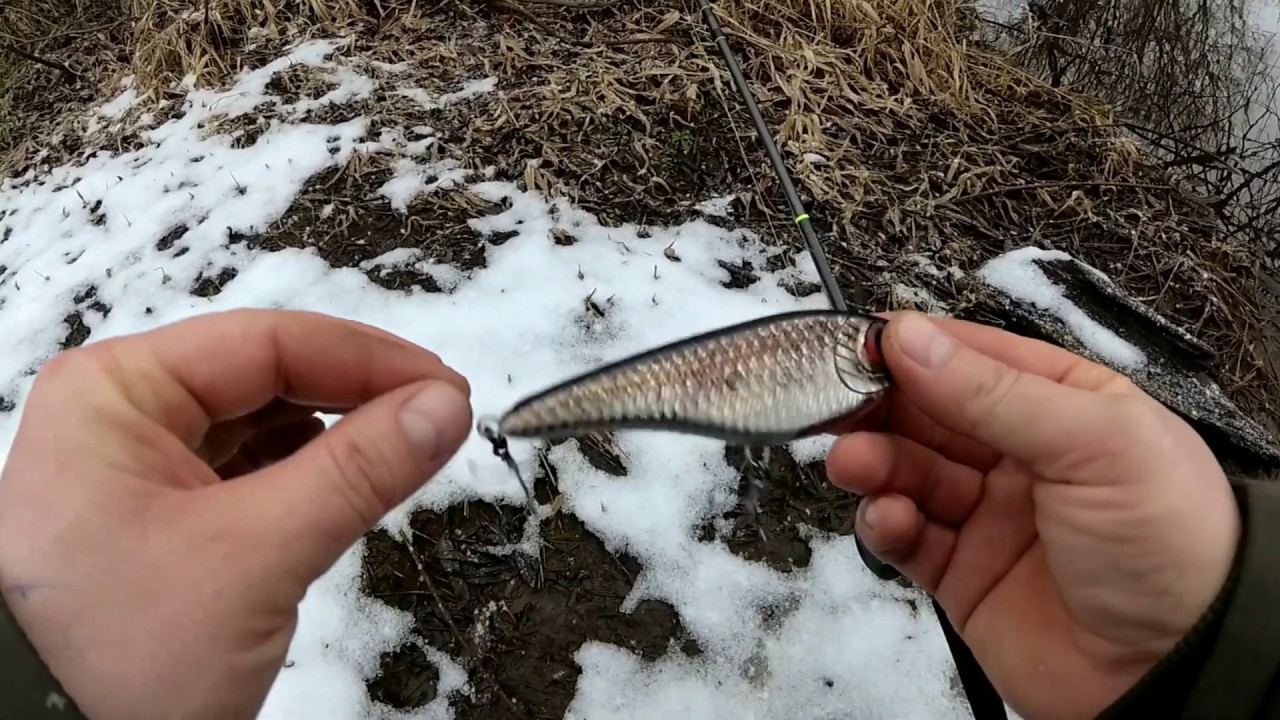 Джерки с алиэкспресс обзор.
