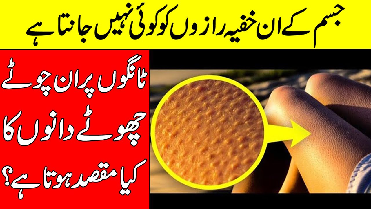 No One Knows These Secrets Of The Human Body | BRAIN FACTS
