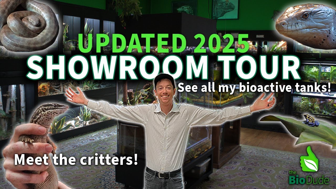 The Bio Dude Bioactive Renovated Showroom Tour 2025