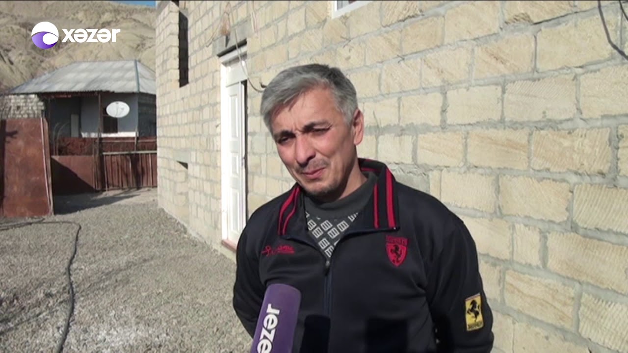 Mingəçevirde həyətə pilikan quşu düşüb