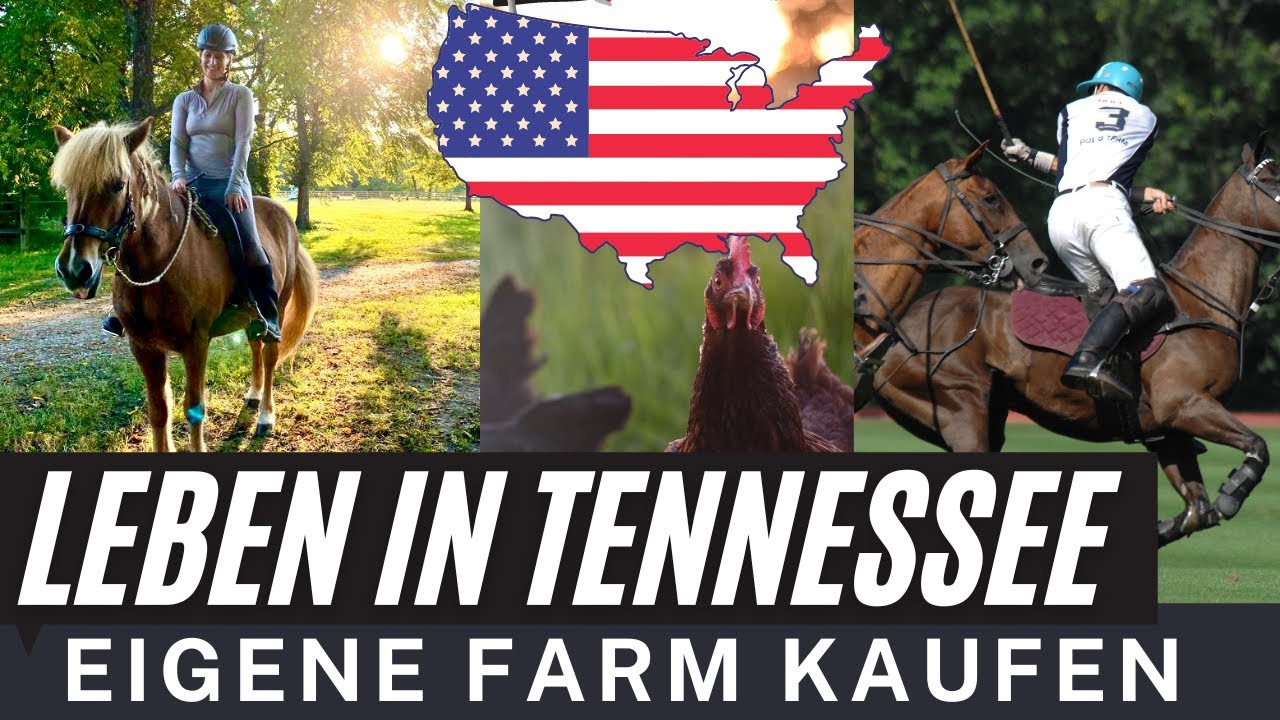 Will ich das WIRKLICH? Farmleben, TRAUM-oder Albtraum? Polo-Turnier. Sprachlos in Tennessee 🇺🇸.