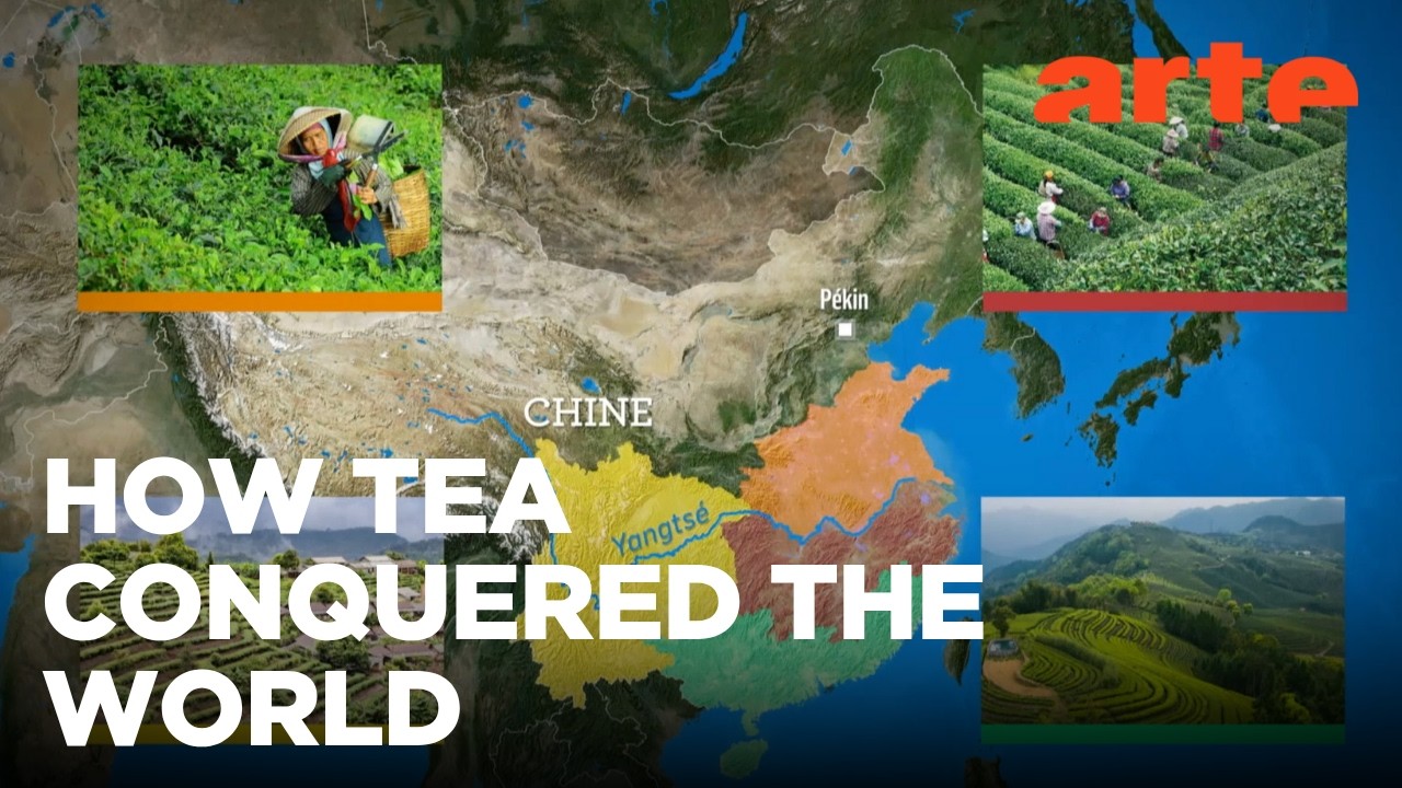 The Global Tea Market | ARTE.tv Documentary