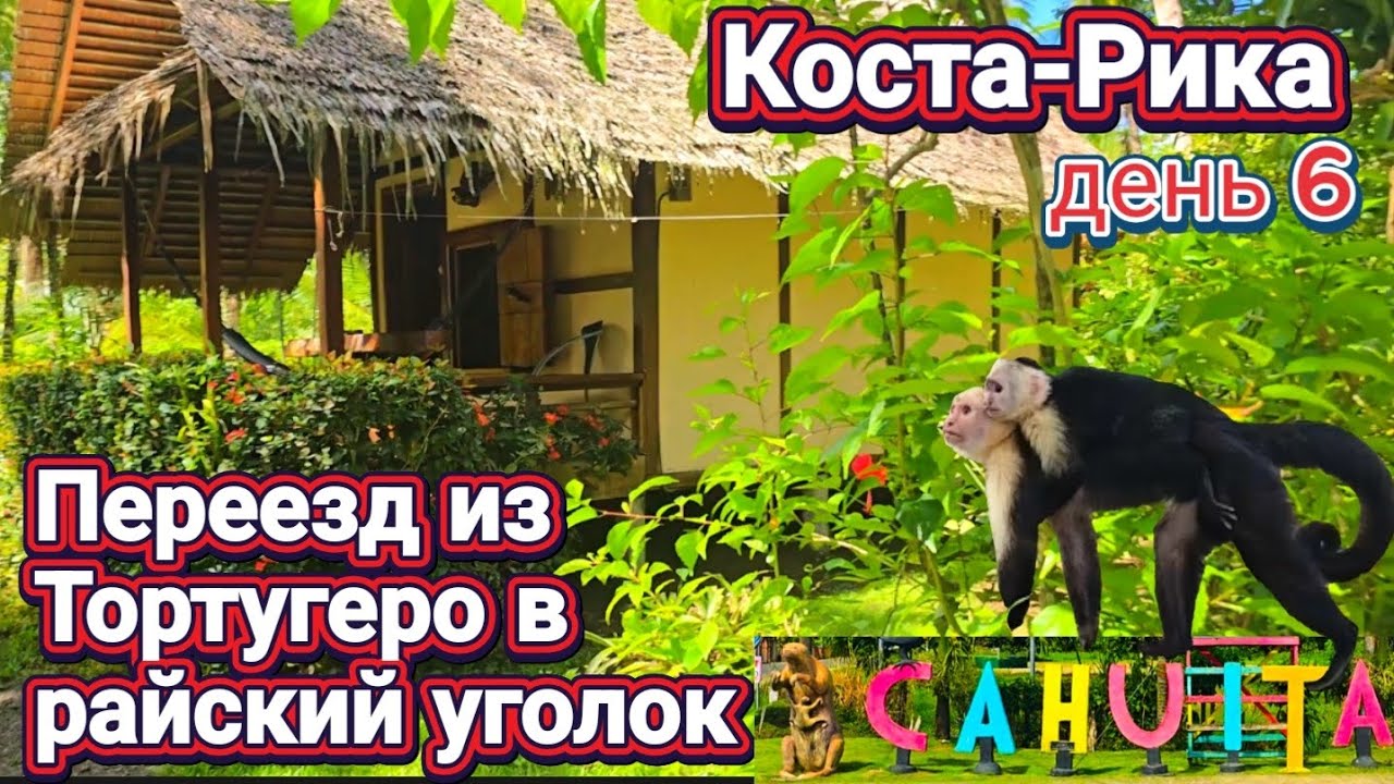 Коста-Рика своим ходом с ребёнком.Переезд из Тортугеро в Кауиту, дорога, природа.Обзор жилья у моря