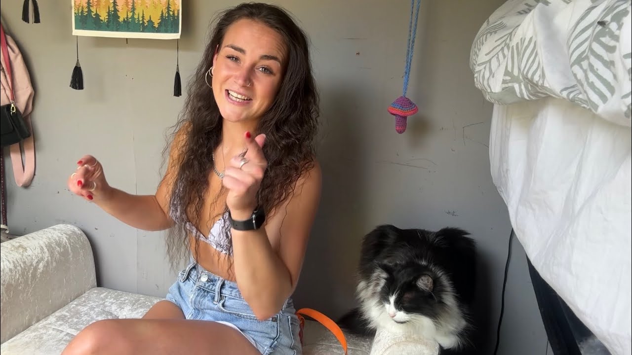 Girl on the Go: 500 Mile Road Trip to Grimsby via Worcestershire & Sheffield Solo Female, CamperCat.