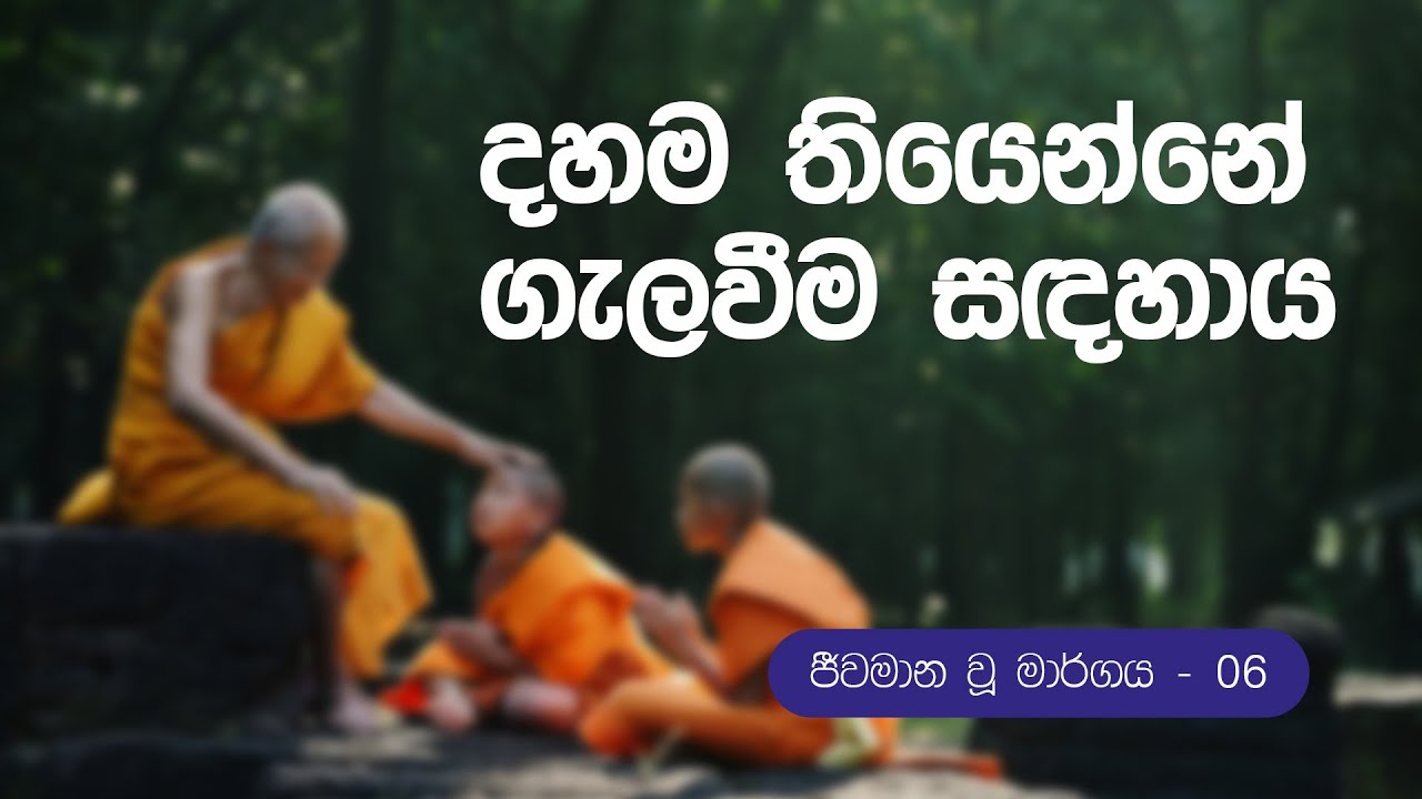 ජීවමාන වූ මාර්ගය 06