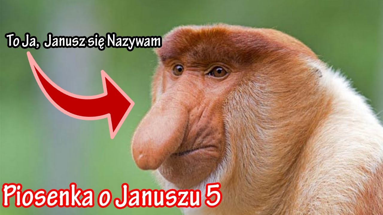 To Ja Janusz Się Nazywam