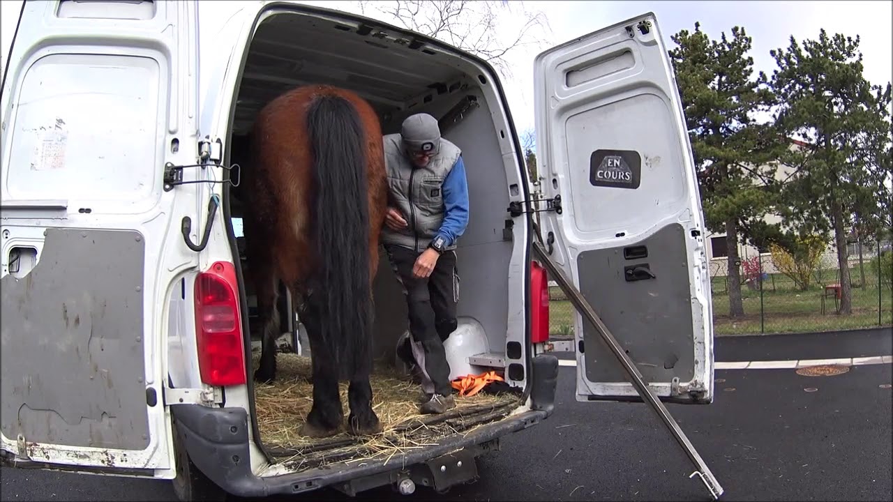 TRANSPORTER SON CHEVAL
