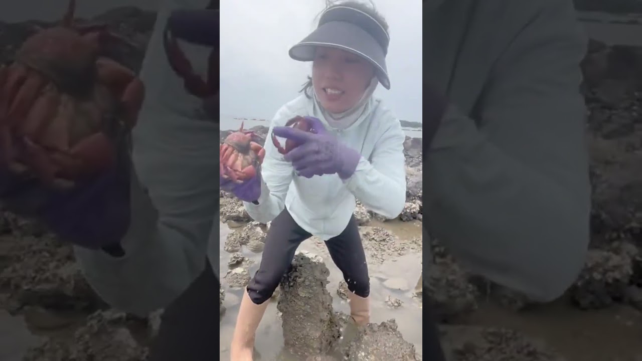 She is an expert to dig crabs in the stone