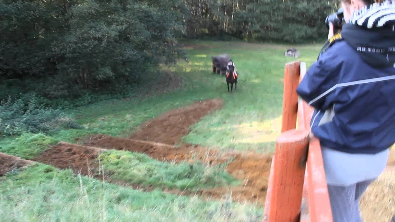 Boo Poplar XC