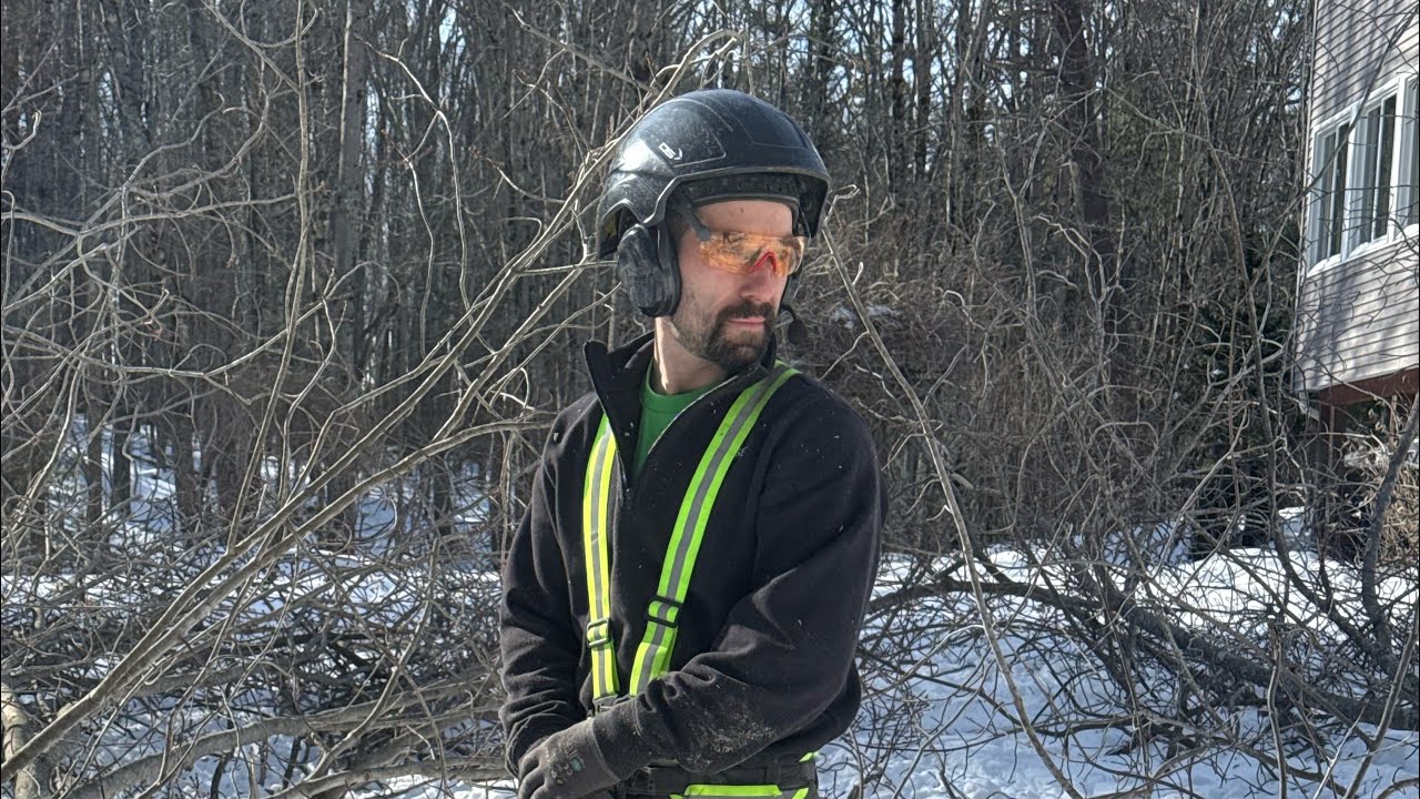 🔴LIVE | Cutting Trees In Biddeford Maine