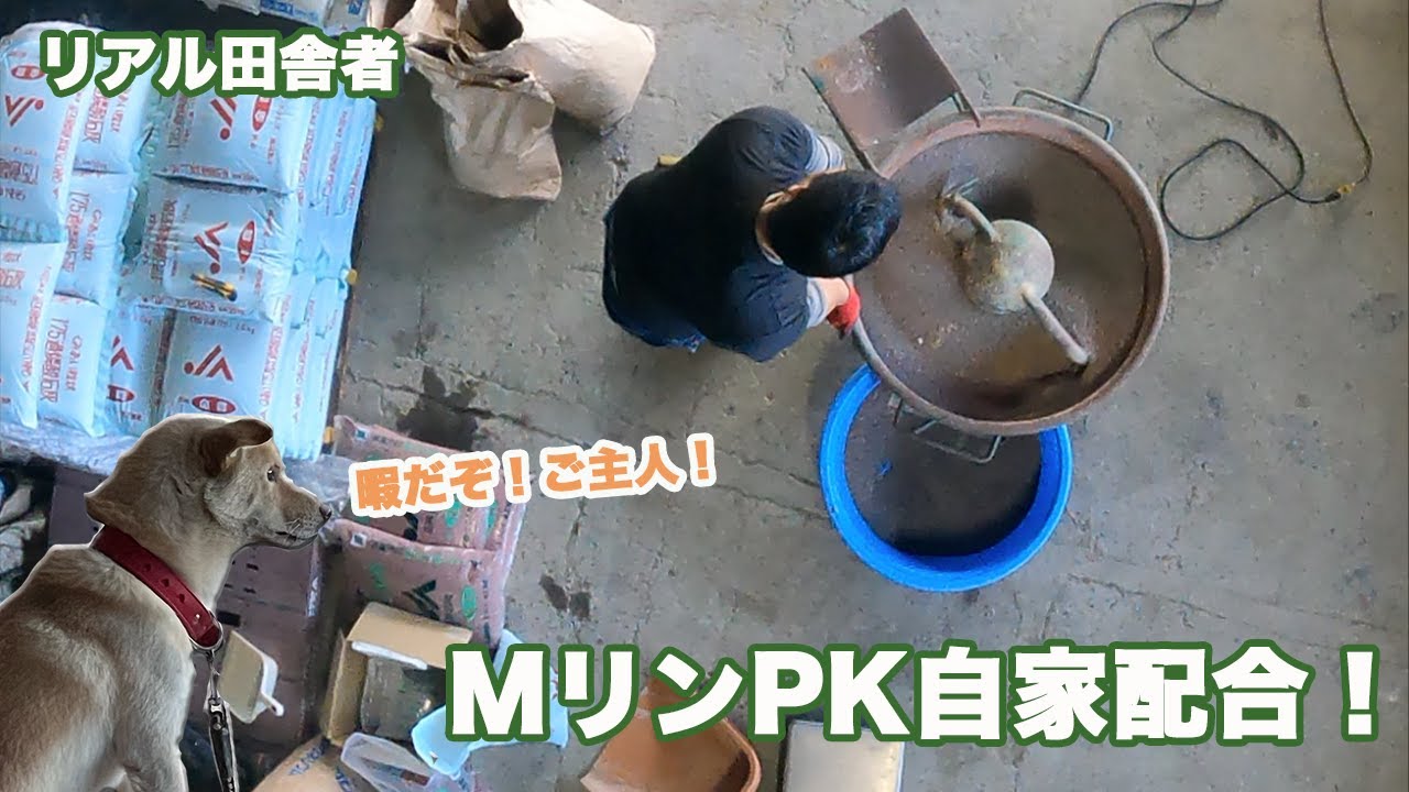 【MリンPK】〜自家配合・肥料高いっすな…