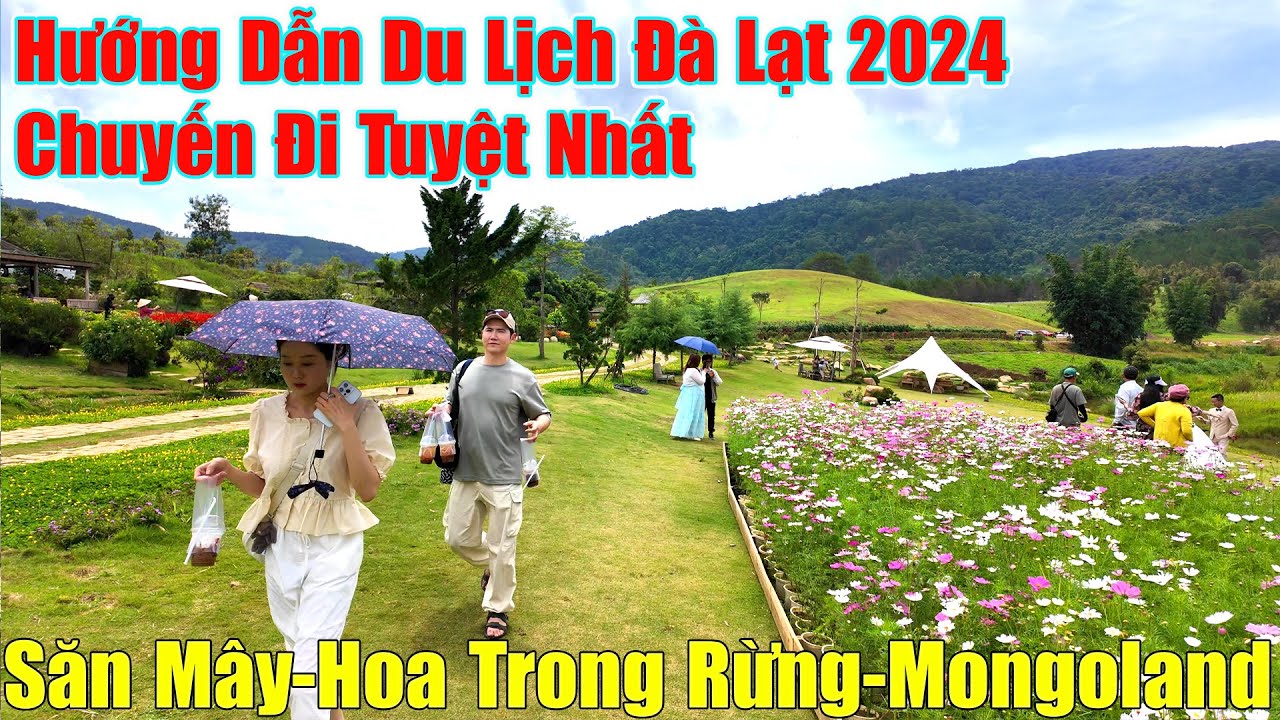 Du Lịch Đà Lạt 2024 Cùng Săn Mây-Hoa Trong Rừng-MongoLand..