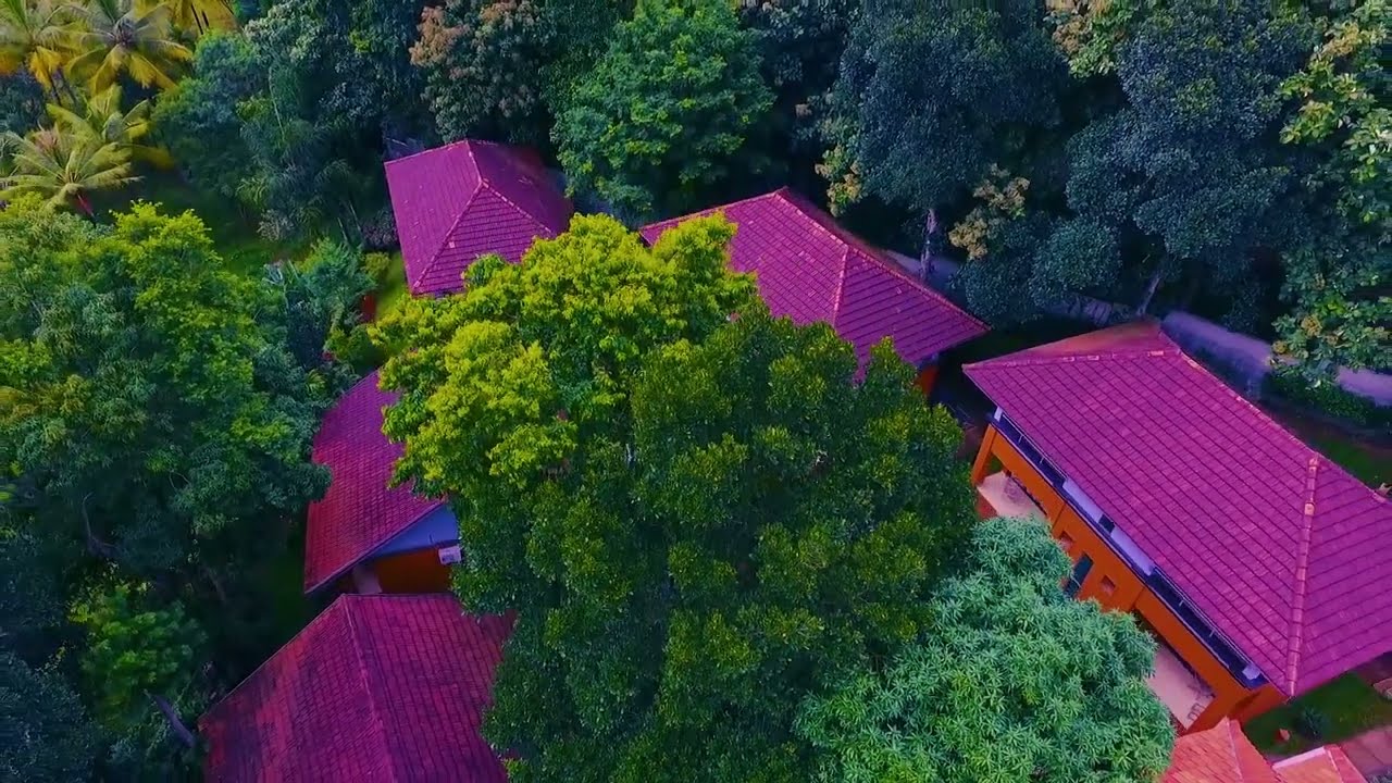 ABAD Green Forest, Resorts In Kumily, Thekkady