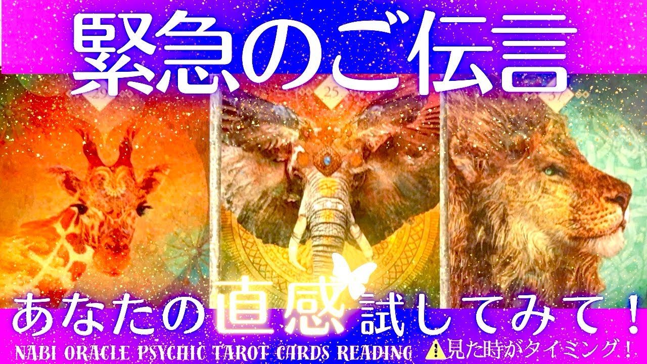 霊能者タロット🌈甘い蜜だけ受け取るのはあなたです。この世の天国が始まる【緊急のご伝言】選ばれましたね。人生が変わります。｜3択タロット占い