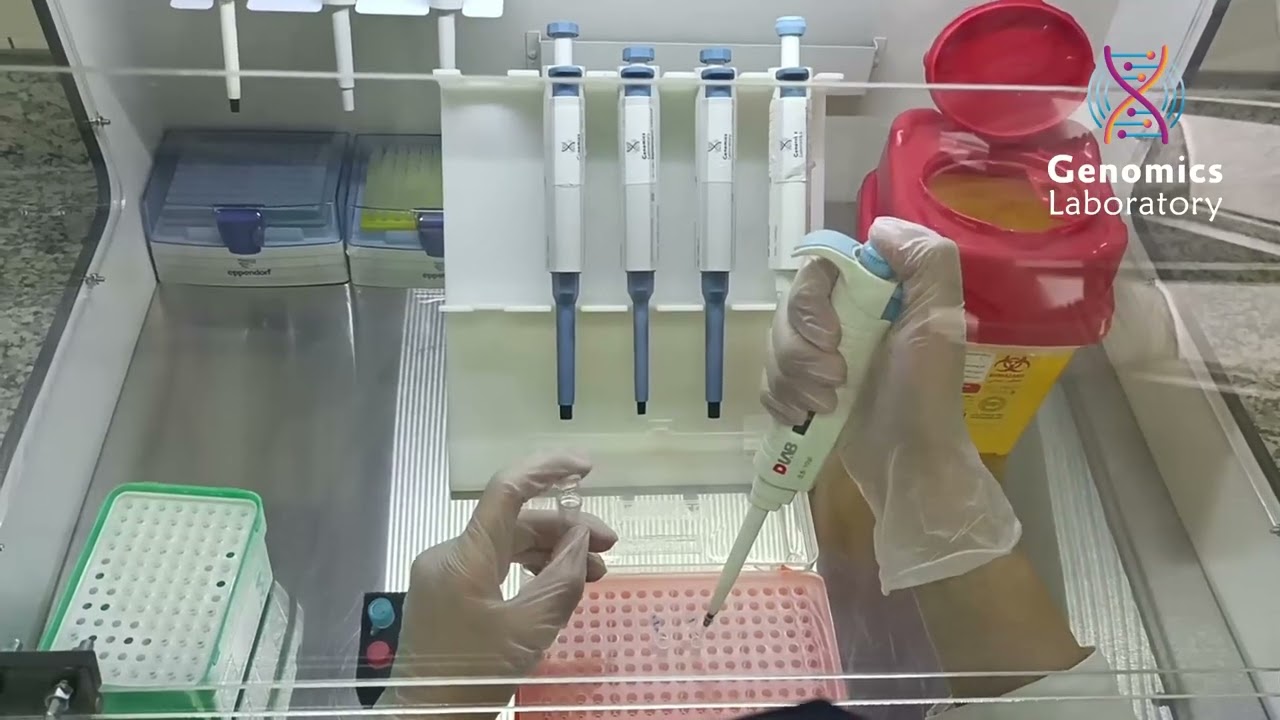 آموزش تکنیک پی سی آر - PCR (آماده سازی ریکشن ها)