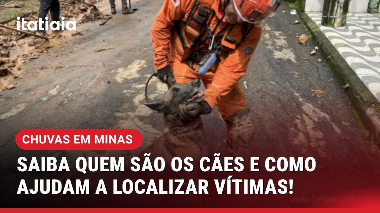 COMO CÃES FAREJADORES AJUDAM NA LOCALIZAÇÃO DE VÍTIMAS EM ESCOMBROS!