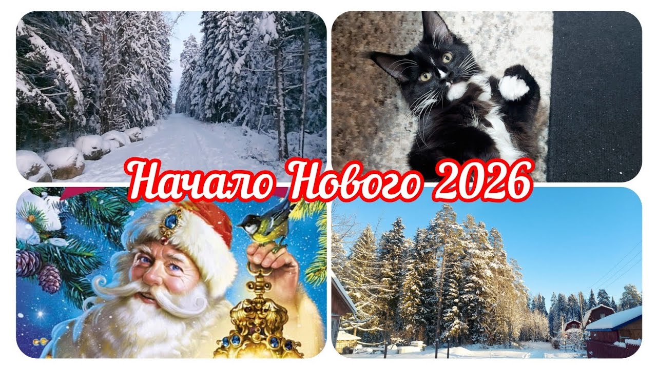 📽Моя Мишель🐈‍⬛Новогодние каникулы💥Коптим рыбку #реальнаяжизнь 