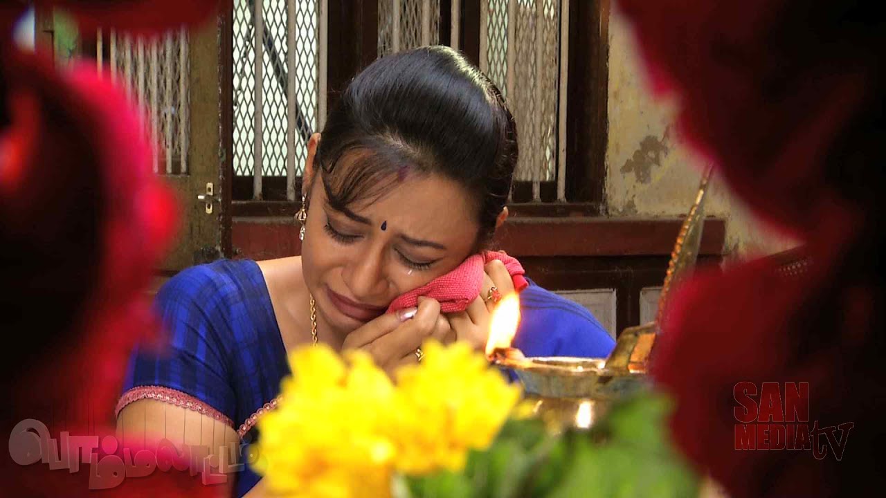 BOMMALAATAM - பொம்மலாட்டம் - Episode 1034 (31/05/2016)
