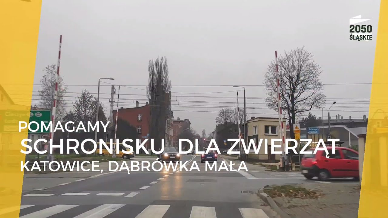 Pomoc dla schroniska dla bezdomnych zwierząt w Katowicach  #Polska2050 #EkipaKatowice