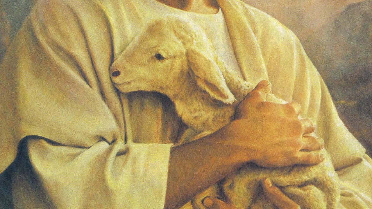 Parábolas da Misericórdia | Série Parábolas de Jesus | Pr. Luciano Thomé