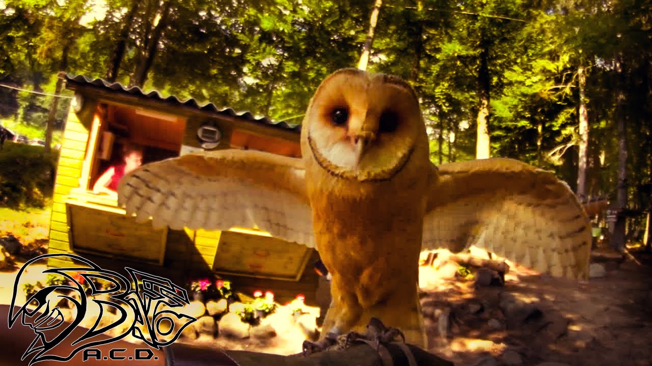 2015 - Parco Avventura Oropa e Falconeria