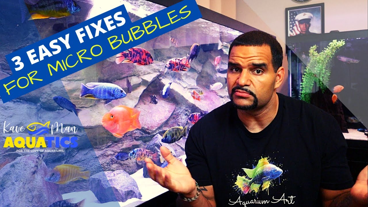 Best Way to Get Rid of Micro Bubbles in Your Aquarium FAST!
