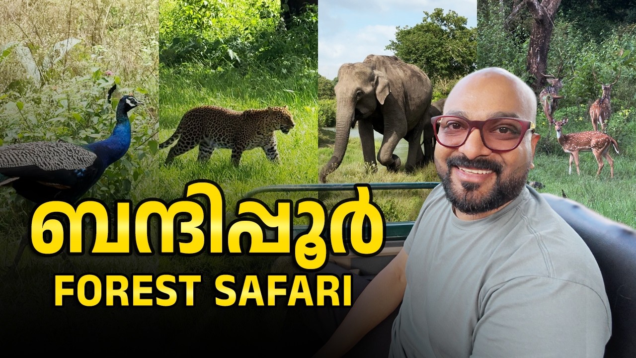 കർണാടകയിലെ ബന്ദിപ്പൂർ ഫോറസ്റ്റ് സഫാരി | Bandipur Forest Safari & Stay at Safari Lodge | Travel Guide