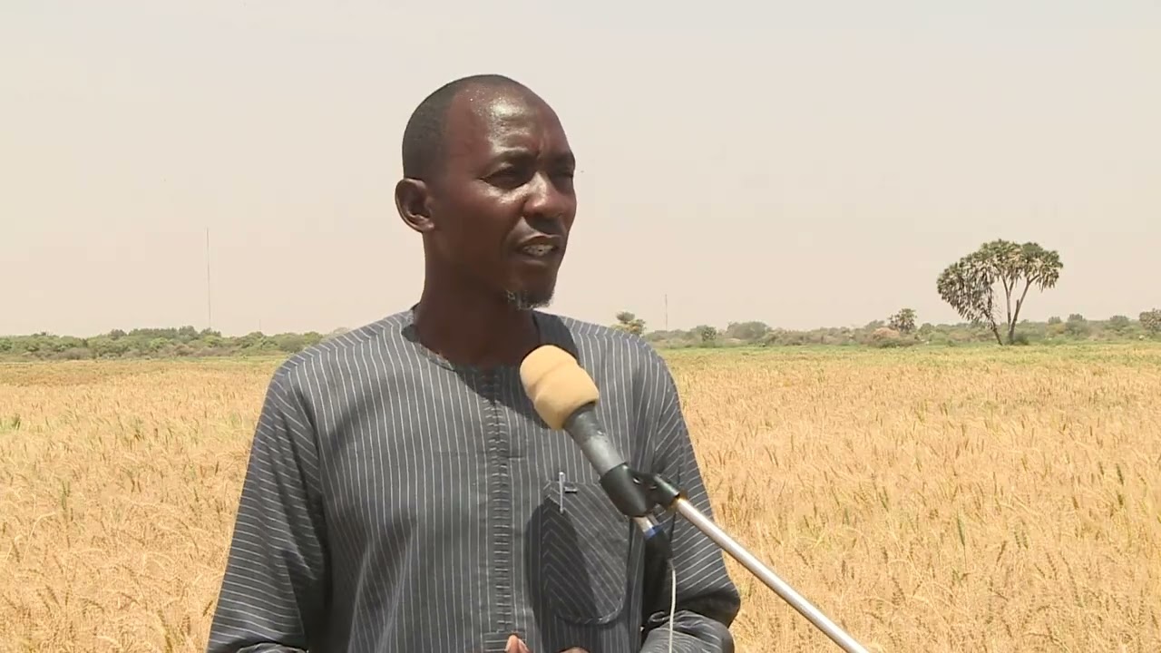 Appui à la mise en valeur des aménagements hydro agricoles de l'ONAHA Diffa, #WHH-# NORAD