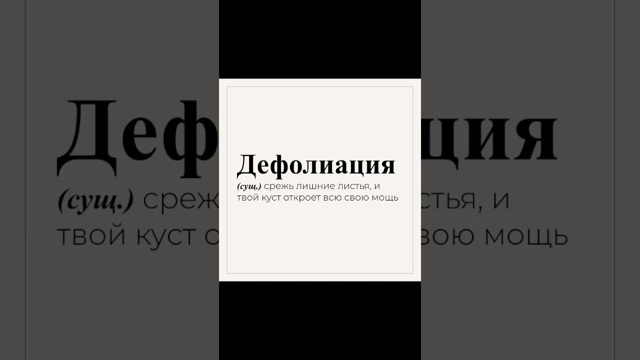 #словодня #словарь #гровинг #семяныч #420 #шишки
