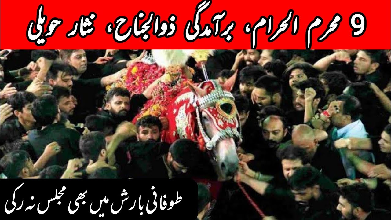9 Muharram Nisar Haveli | Zuljanah Baramdagi | Nisar Haveli Juloos | Nisar Haveli 2023 |Shah Hussain